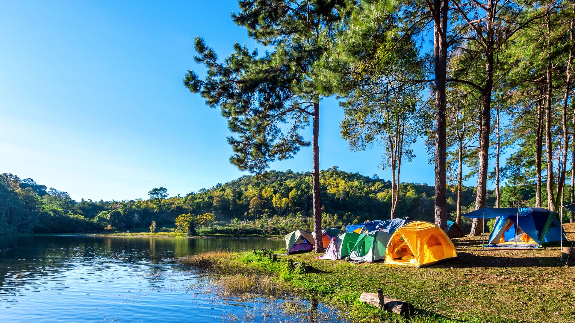 Riverside Camping