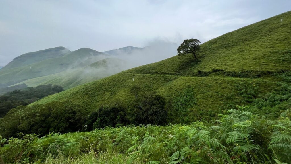 Coorg-best easy trek in India